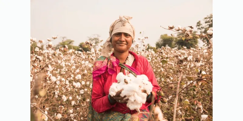 Do Not Take Cotton Sowing for Granted This Year